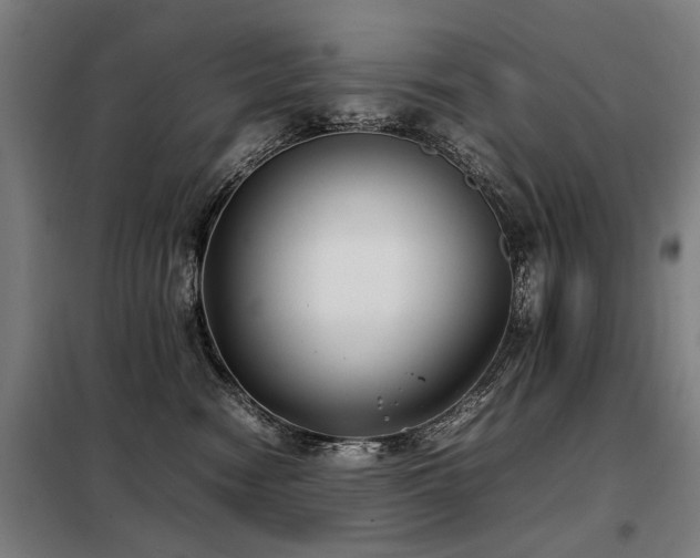 X0000098120474200804041412
