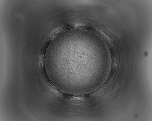 X0000098120475200804041412