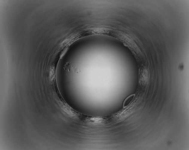 X0000098120478200804041412