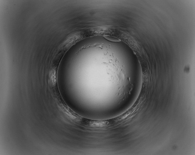 X0000098120479200804041412