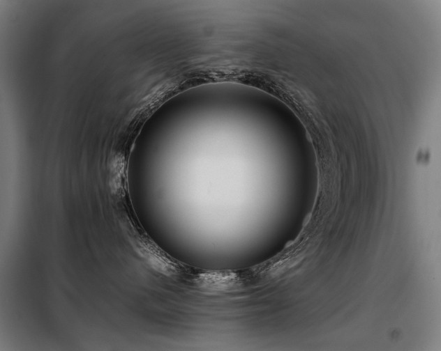 X0000098120480200804041412