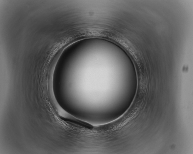 X0000098120481200804041411