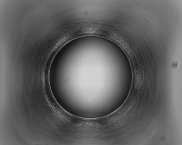 X0000098120482200804041411