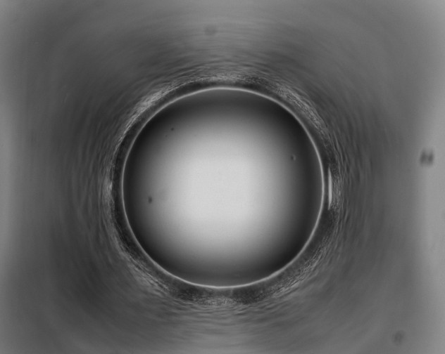 X0000098120483200804041411