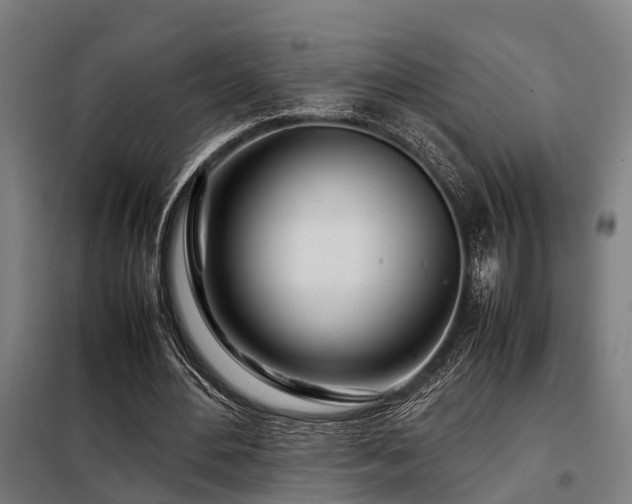 X0000098120484200804041411