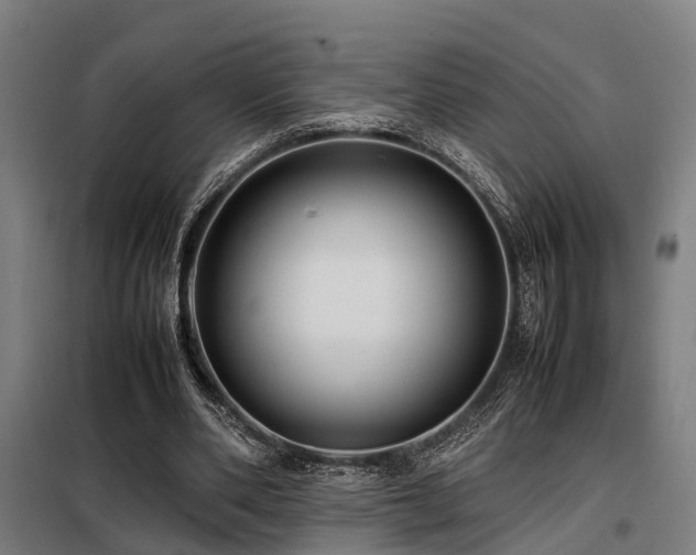 X0000098120486200804041411