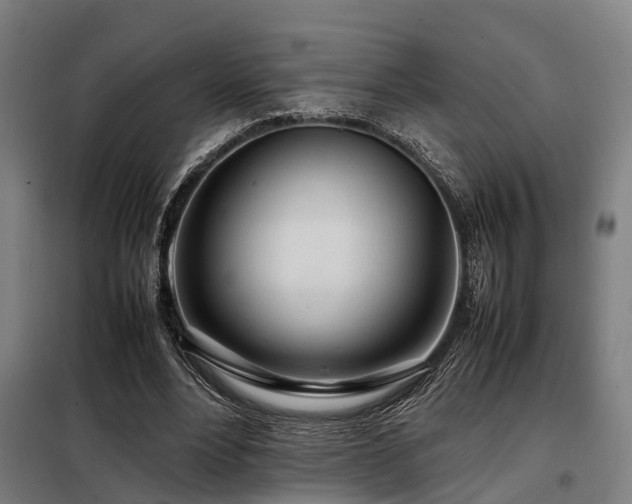 X0000098120488200804041411
