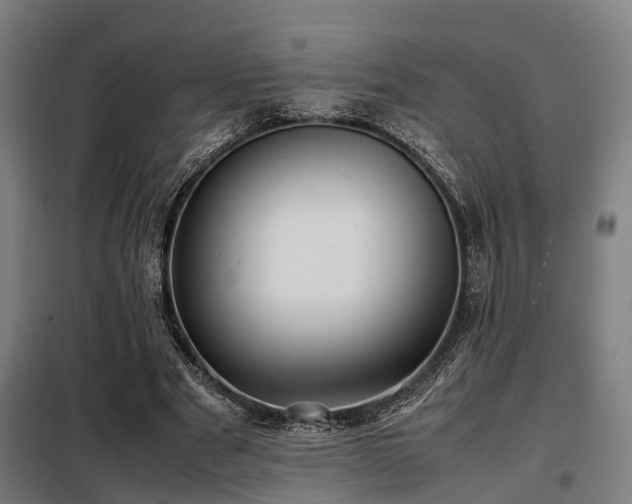 X0000098120489200804041411