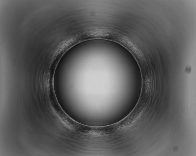 X0000098120490200804041411