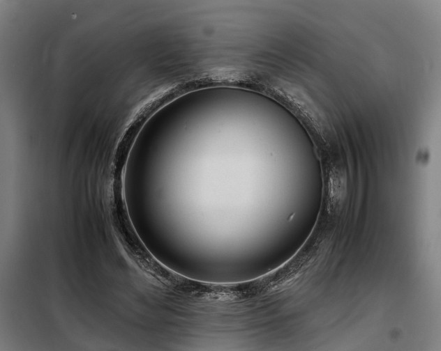X0000098120492200804041411
