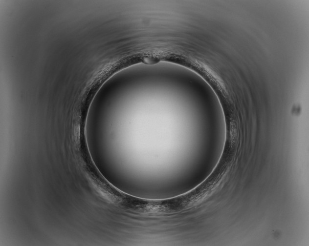 X0000098120493200804041411