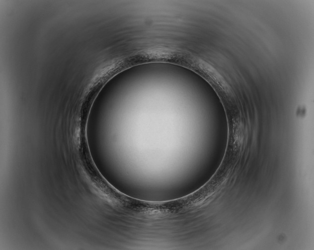 X0000098120494200804041411