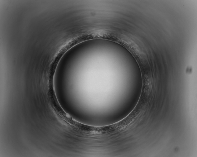 X0000098120496200804041411
