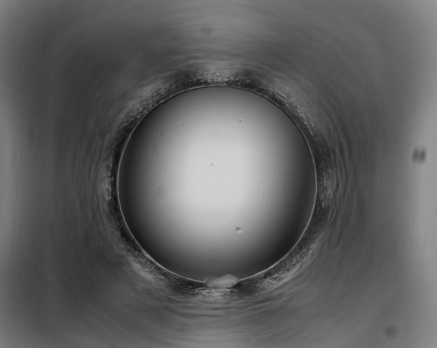X0000098120497200804041411
