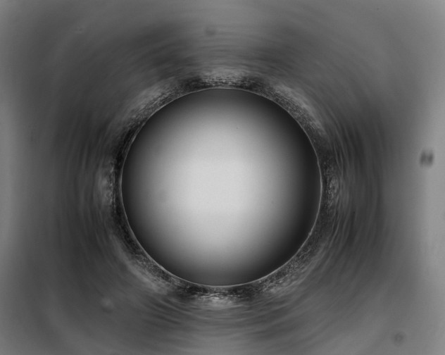 X0000098120498200804041411