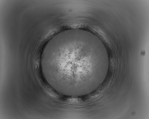 X0000098120499200804041411