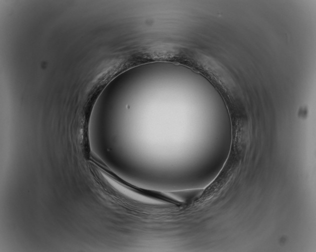 X0000098120501200804041411