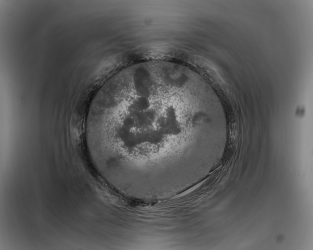 X0000098120503200804041411