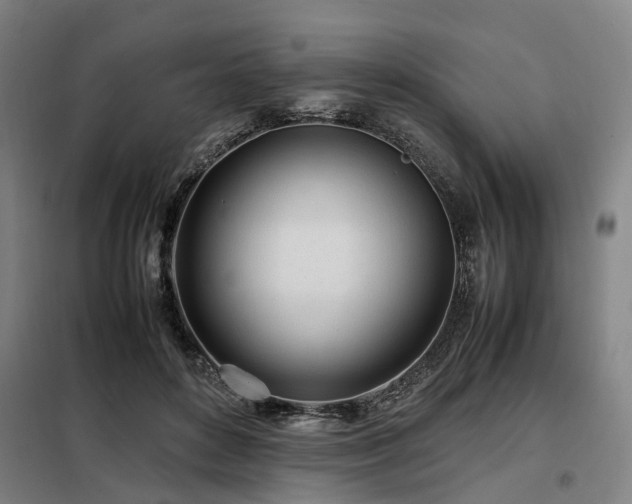 X0000098120504200804041411