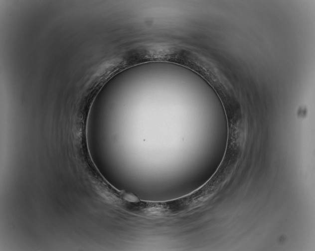 X0000098120505200804041411