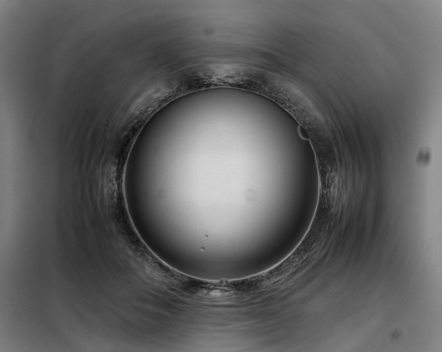 X0000098120506200804041411