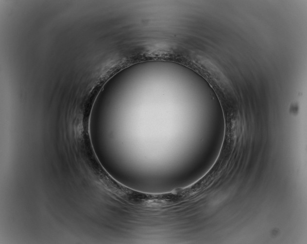 X0000098120508200804041411