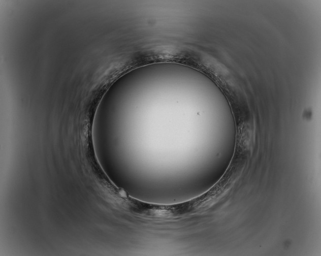 X0000098120509200804041411