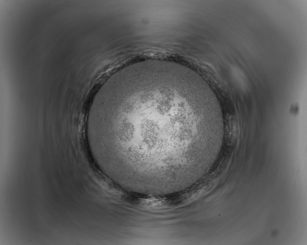 X0000098120511200804041411