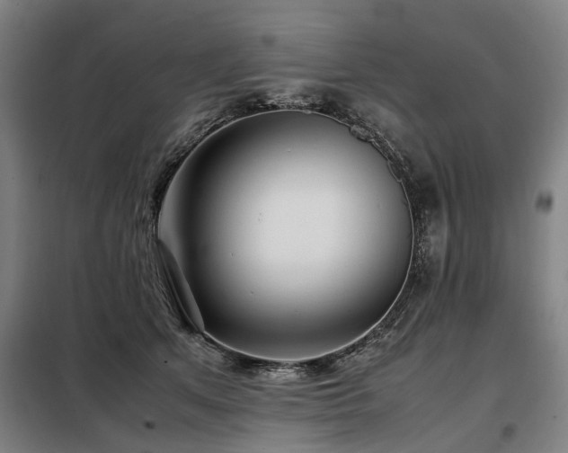 X0000098120513200804041411