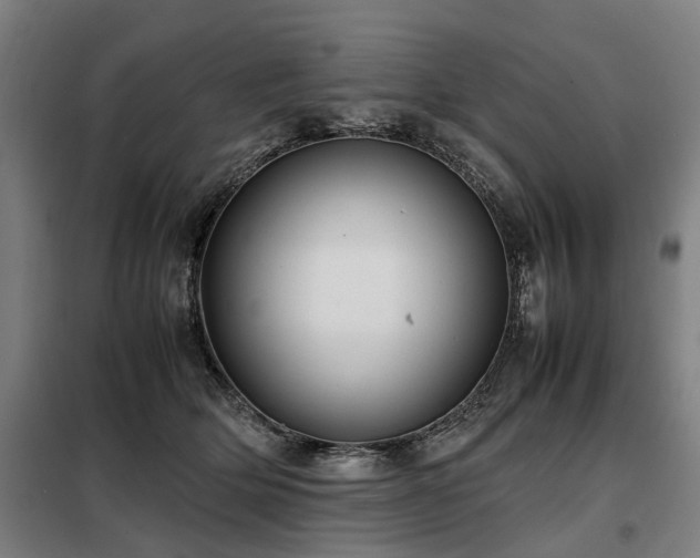 X0000098120514200804041411