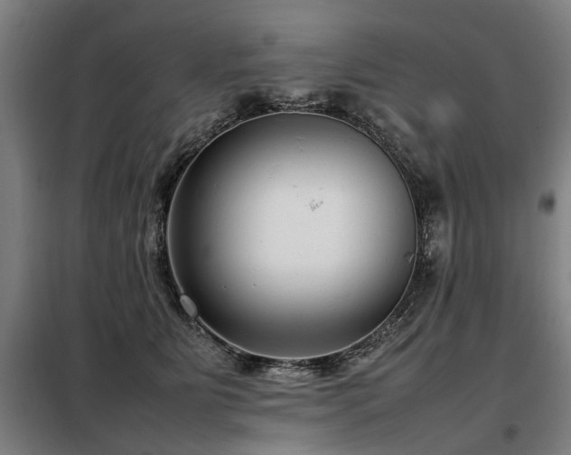 X0000098120515200804041411