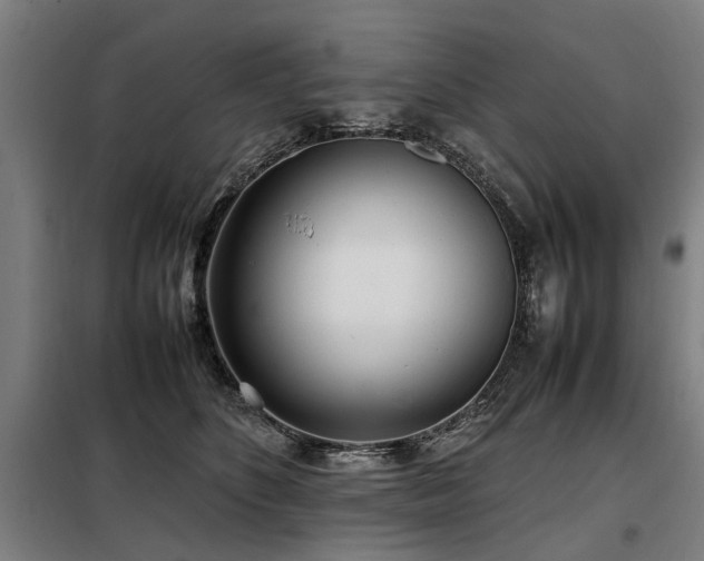 X0000098120516200804041411