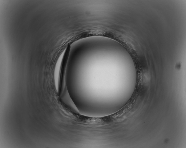 X0000098120517200804041411