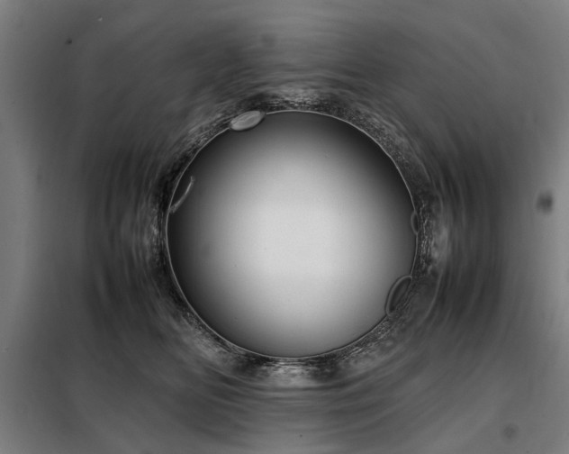 X0000098120518200804041411