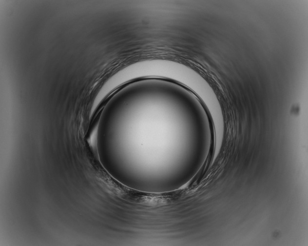 X0000098120520200804041411