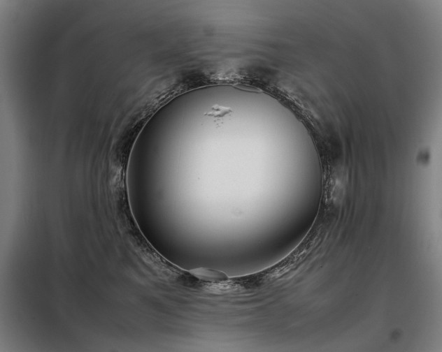 X0000098120521200804041411