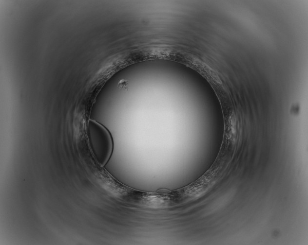 X0000098120522200804041411
