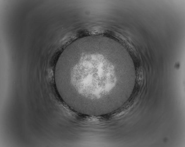X0000098120523200804041411
