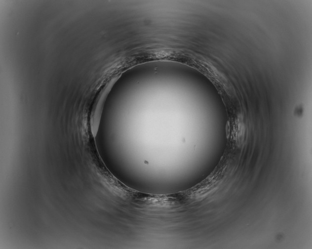 X0000098120524200804041411