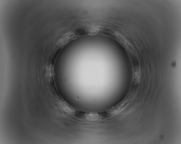 X0000098120525200804041411