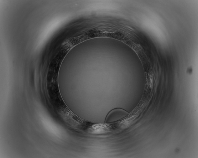 X0000098120526200804041411