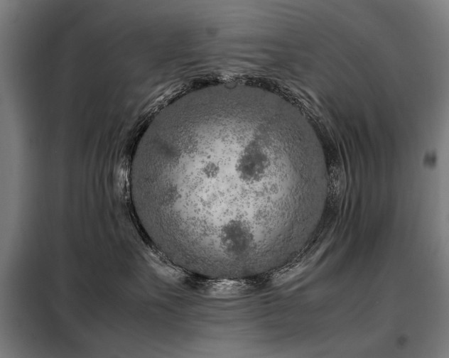 X0000098120527200804041411