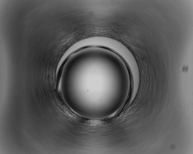 X0000098120528200804041411