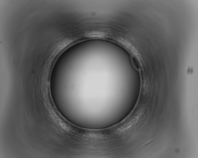 X0000098120529200804041410