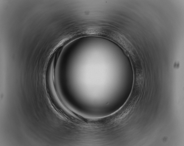 X0000098120530200804041410