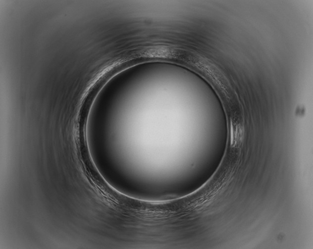 X0000098120531200804041410