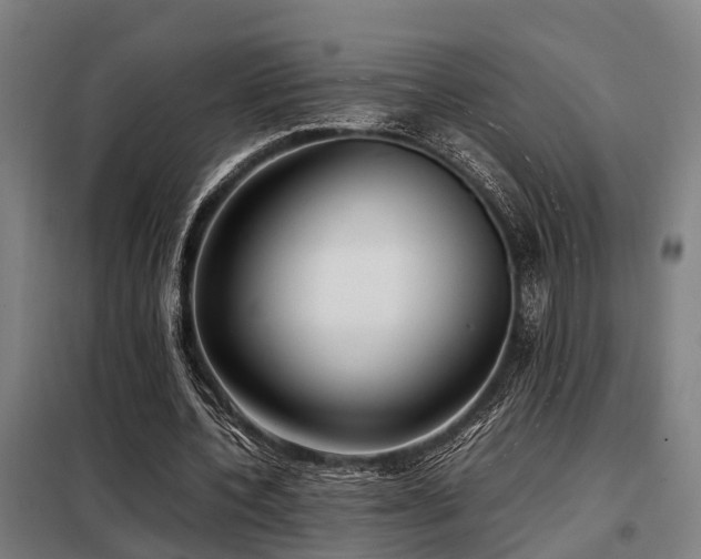 X0000098120532200804041410