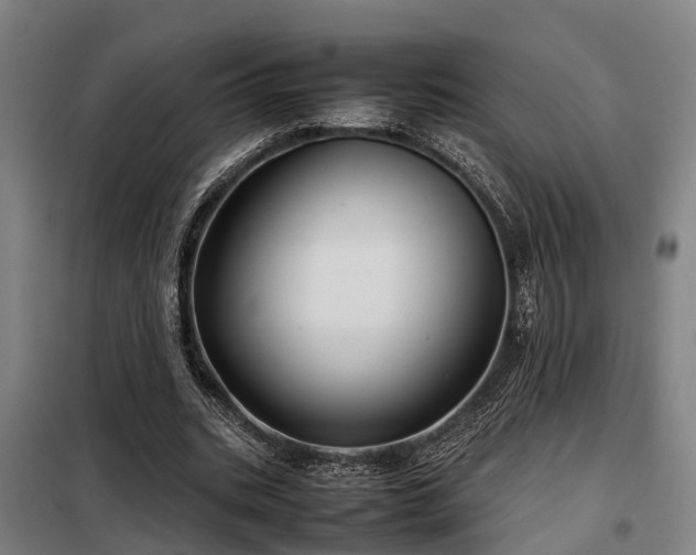 X0000098120535200804041410