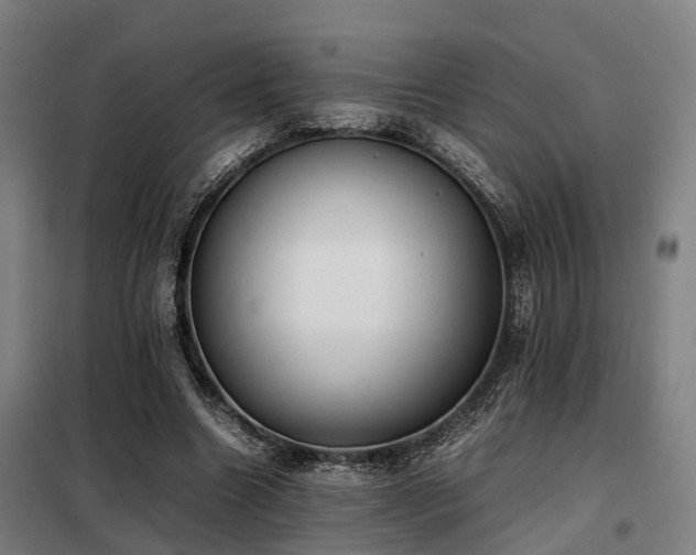 X0000098120538200804041410