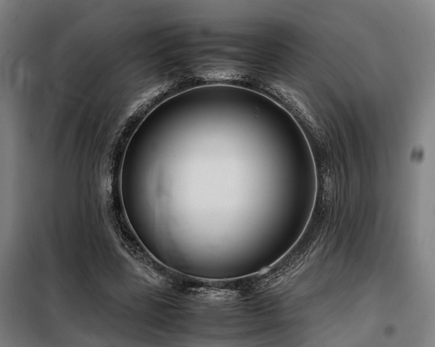 X0000098120539200804041410